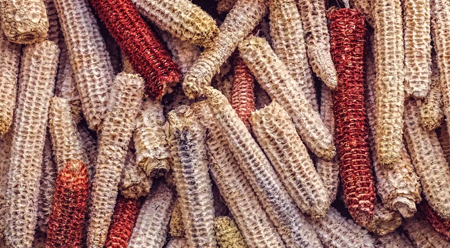 Corn Cobs