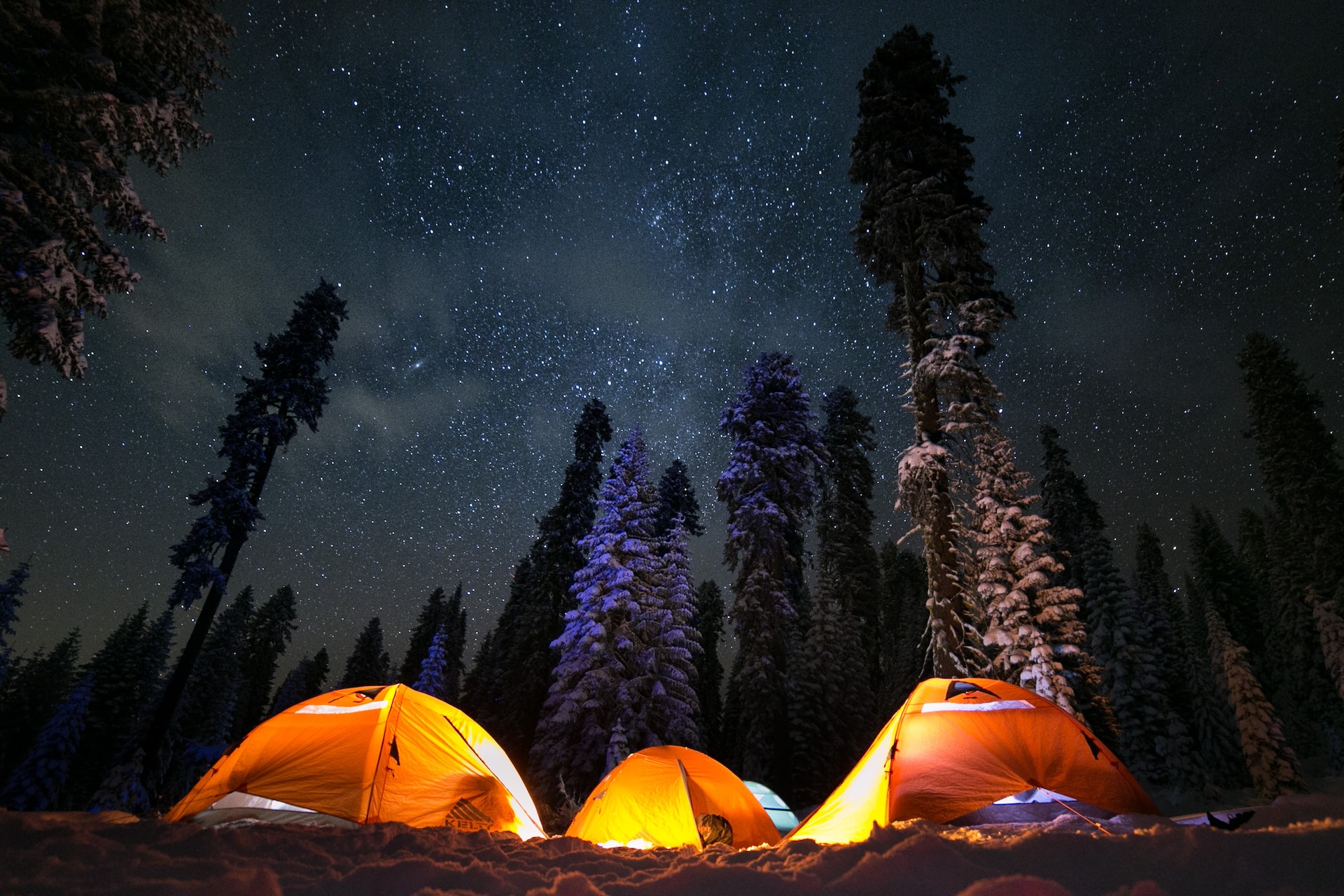 Camping, Stargazing, and Bonfires